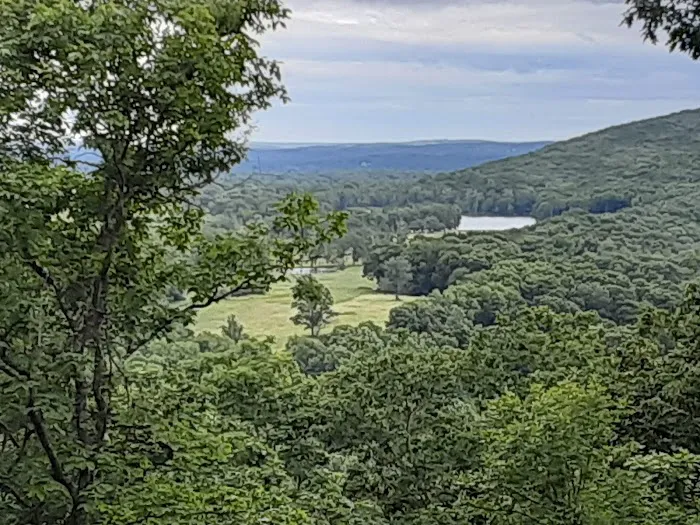 Irene's Woods Preserve Picture 4
