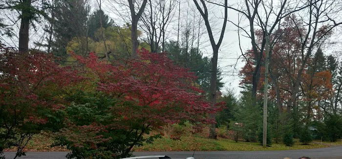 Volunteer Park Picture 5