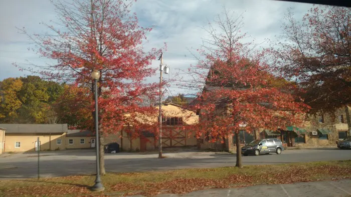 Volunteer Park Picture 4