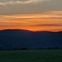 Towner Hill ico