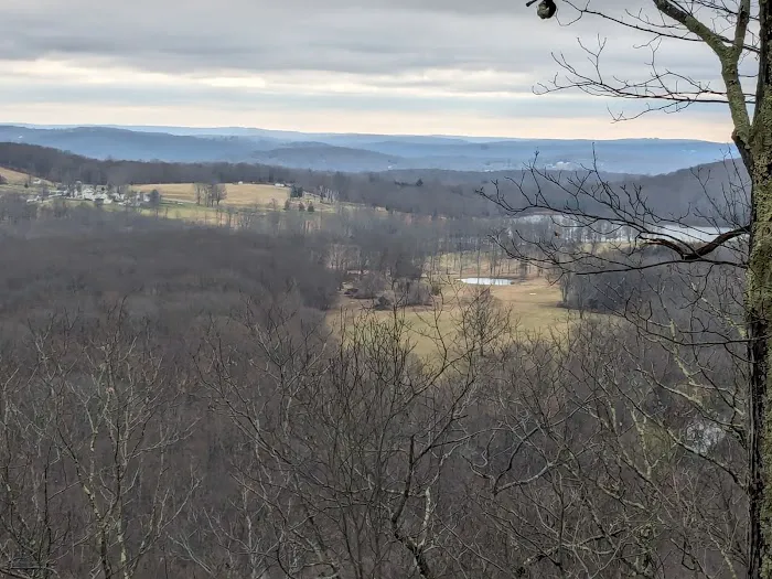 Towner Hill Picture 3