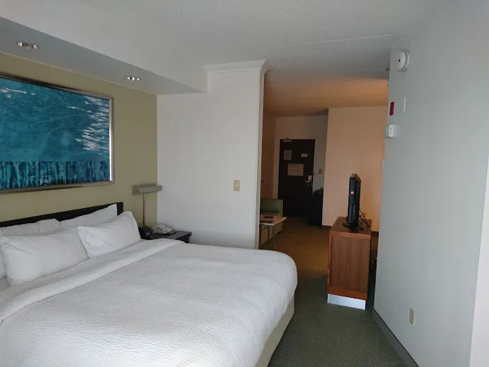 SpringHill Suites Newark Liberty International Airport Picture 6