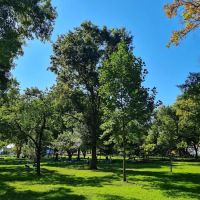 Battery Park ico