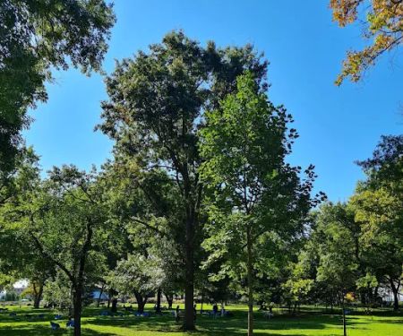 Battery Park