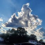 Rabkin Park