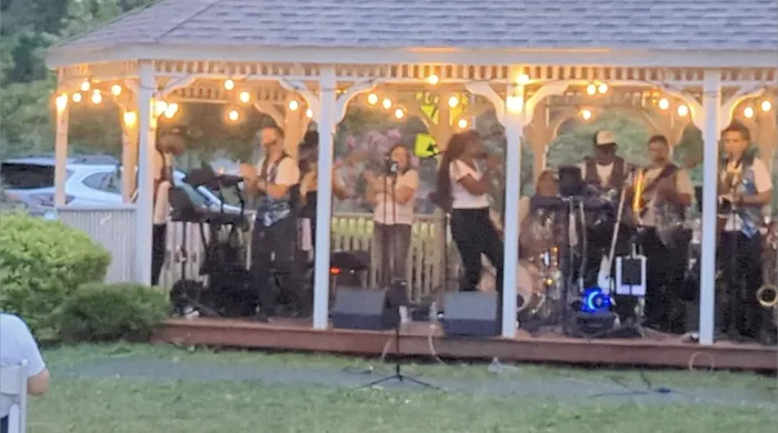 Gazebo Picture 8