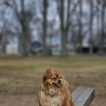 Weber Park