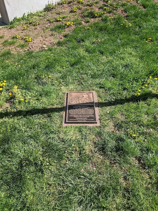Maplecrest Park Picture 10
