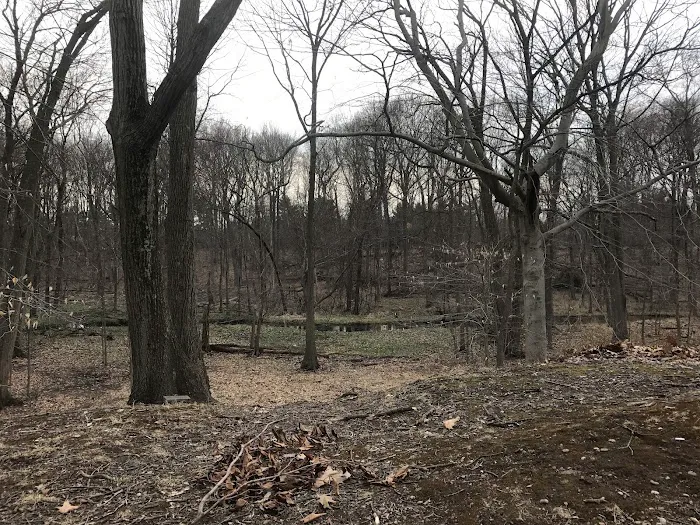 Black Brook Park Picture 5