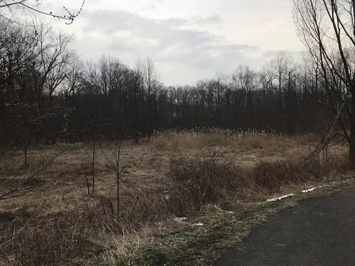 Black Brook Park Picture 4
