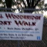 Heards Brook Park