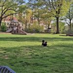 James Keating Park