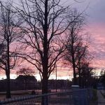 Gorham L. Boynton Memorial Park
