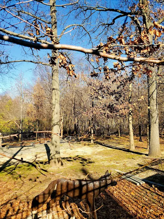 Aesop Park Picture 9