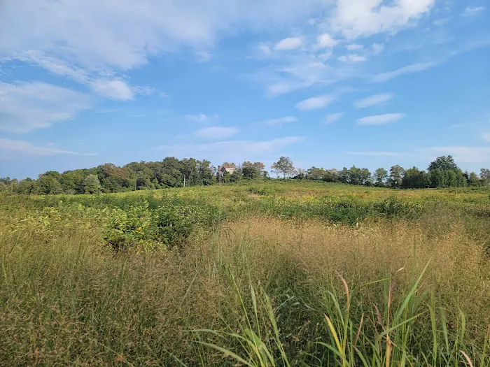 Mount Loretto Unique Area Picture 6