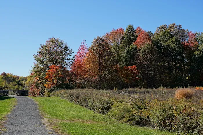 Mount Loretto Unique Area Picture 7