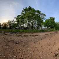 Hybrid Oak Woods Park ico
