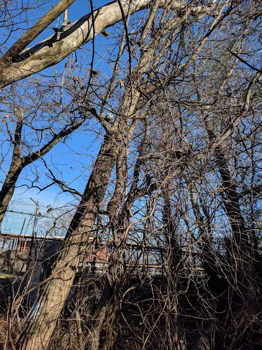 Tottenville Shore Park Picture 2