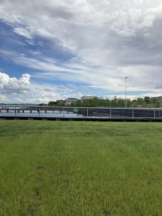 Thomas Mundy Peterson Park Picture 8