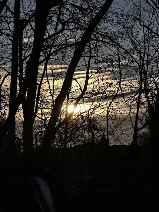 Oak Avenue Park Picture 6