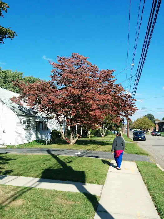Oak Avenue Park Picture 2
