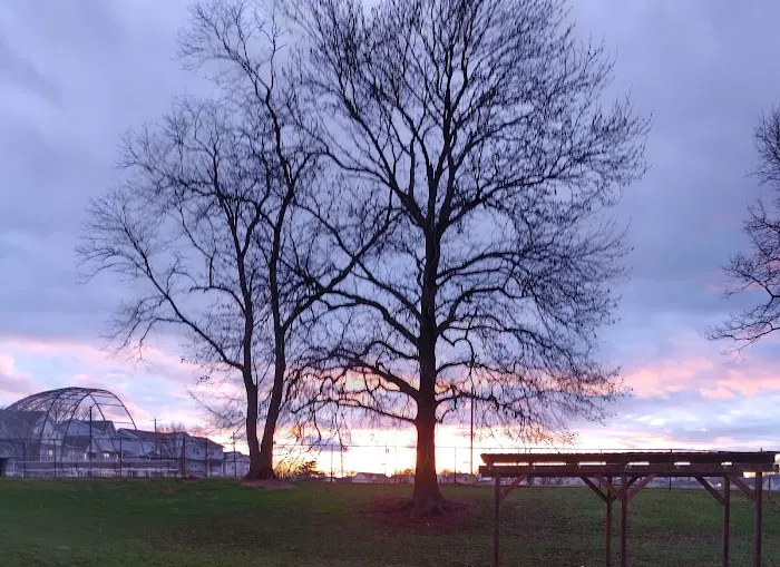 John R. Dalton Jr. Field Picture 9