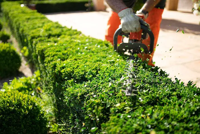 Arevalo Tree Services & Landscaping Picture 10