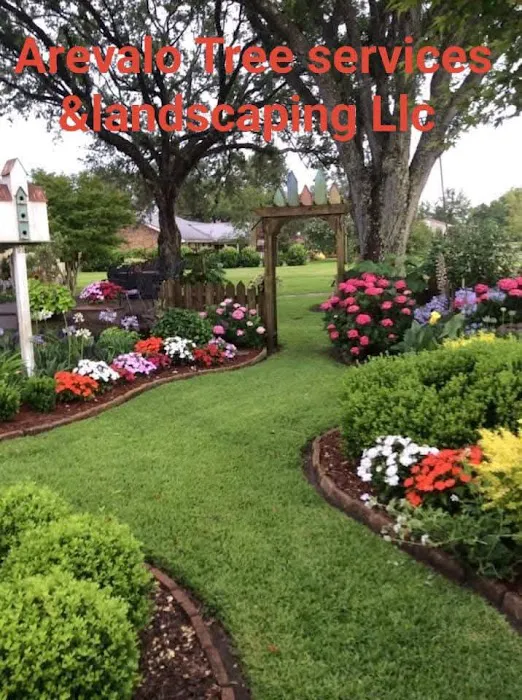 Arevalo Tree Services & Landscaping Picture 4