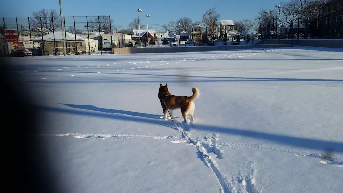 Washington Park Picture 4