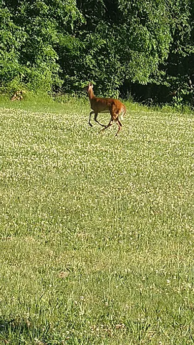 Long Hill Park Picture 5