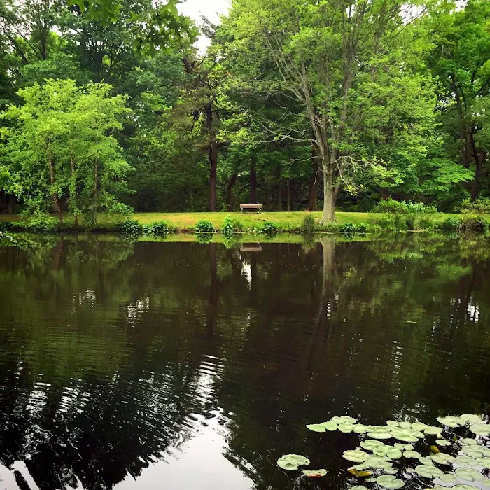 Milton Lake Park Picture 9
