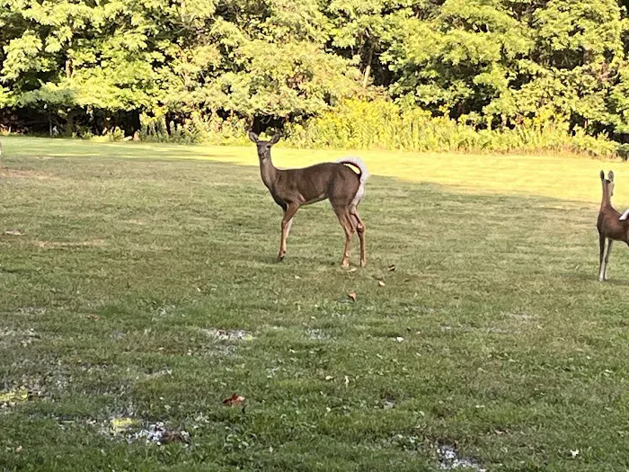 Milton Lake Park Picture 6