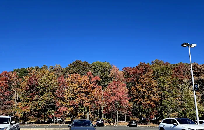 Milton Lake Park Picture 2