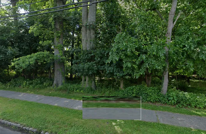 Haskins Park Picture 3