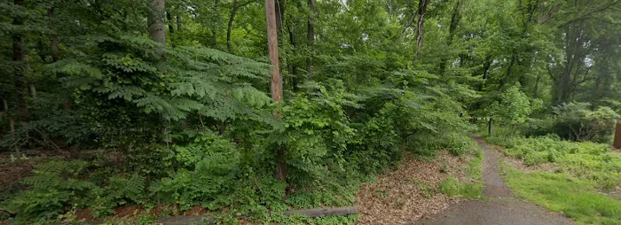 Haskins Park Picture 1