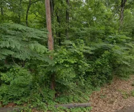 Haskins Park