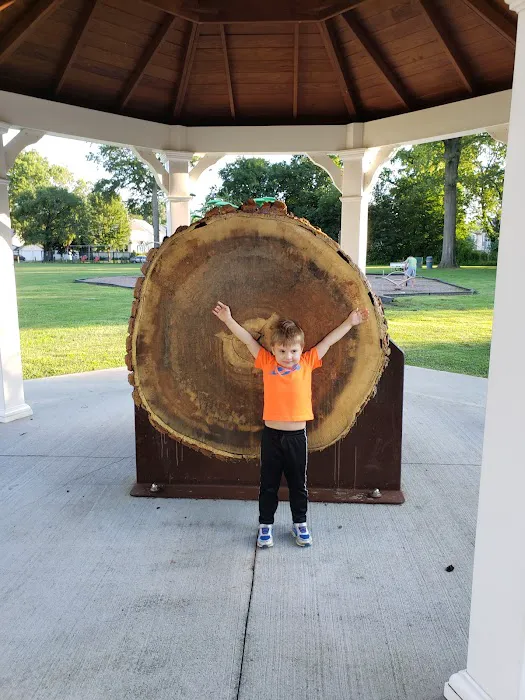 Lincoln Park Picture 3