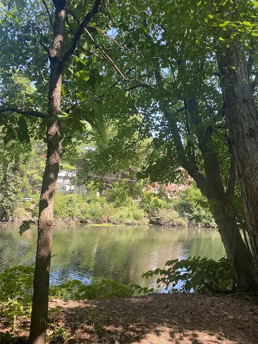 Hanson Park Picture 5
