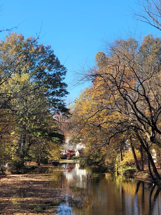 Hanson Park Picture 7