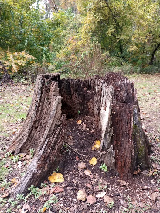 MacConnell Park Picture 5