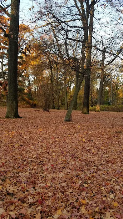 MacConnell Park Picture 8