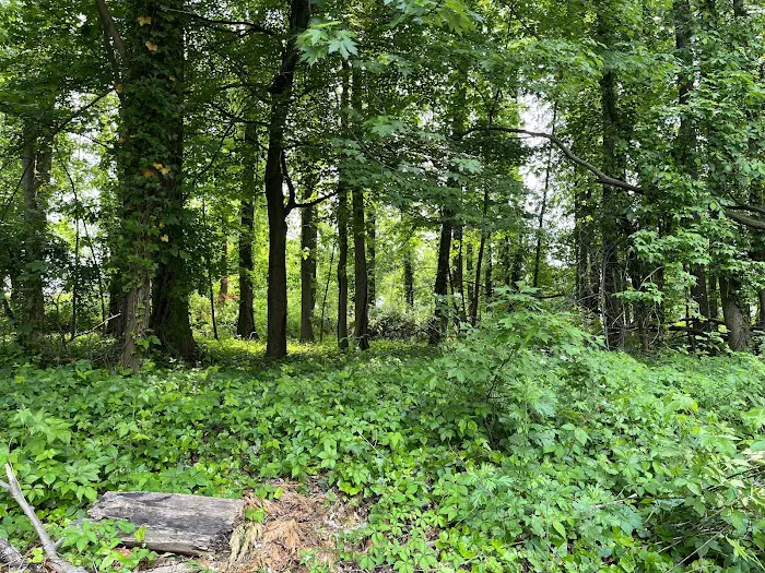 Johnson Park Picture 5