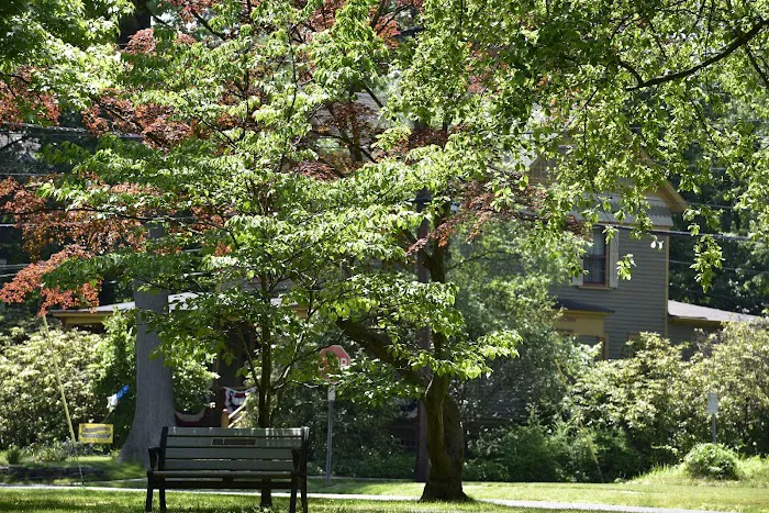 Hampton Park Picture 10