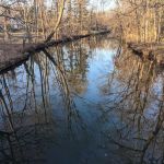 Hampton Park
