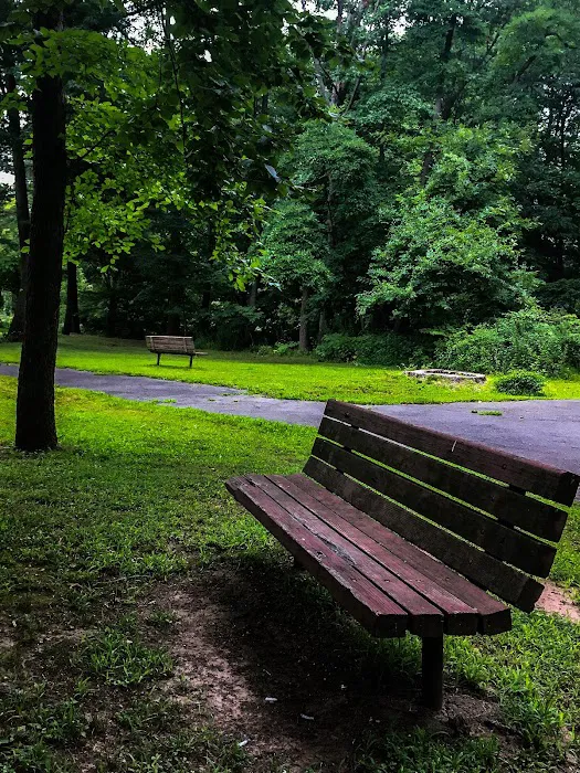 Hampton Park Picture 9