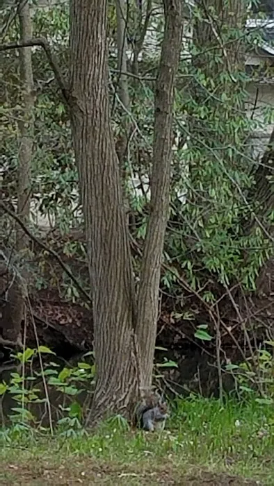 Hampton Park Picture 2