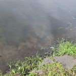 Black Brook Park