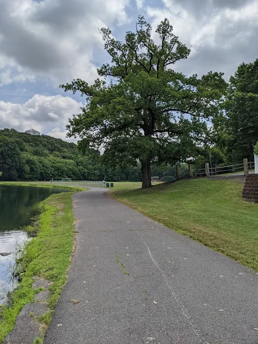 Black Brook Park Picture 6