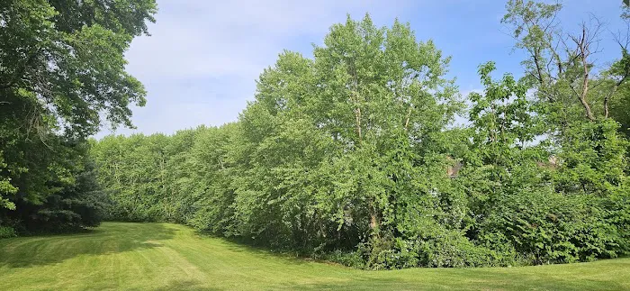 Black Brook Park Picture 5