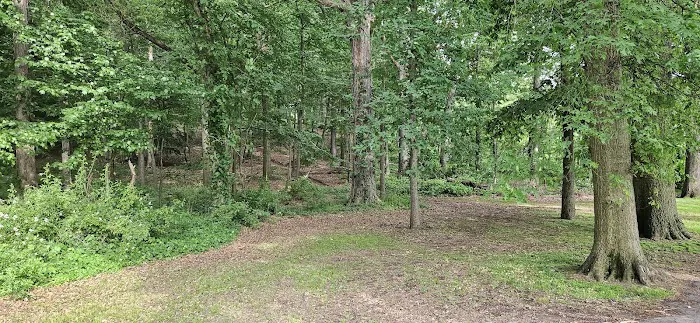 Black Brook Park Picture 9
